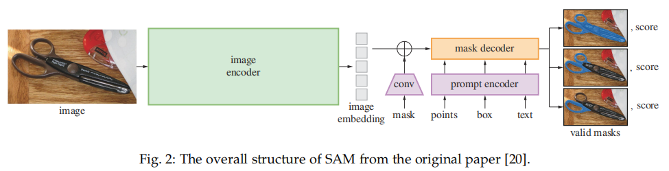 Comprehensive Survey on Segment Anything Model (SAM)