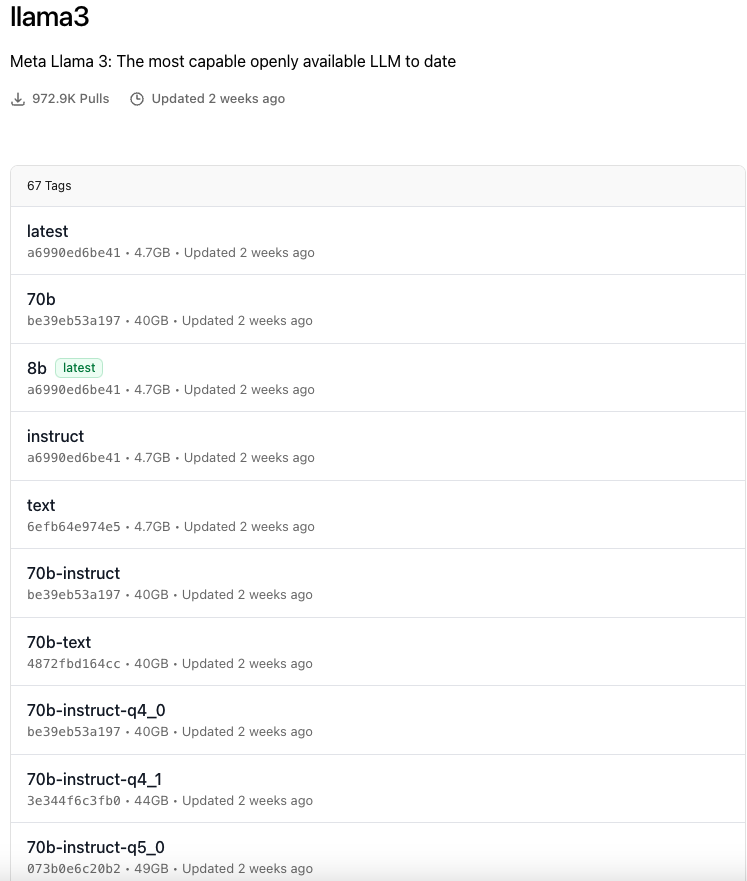 How to Set Up Your Own Local Large Model