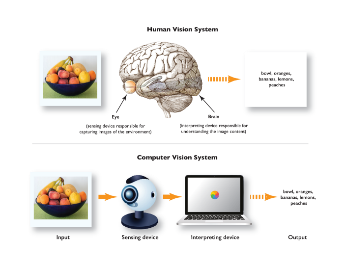 Commercial Applications of Computer Vision