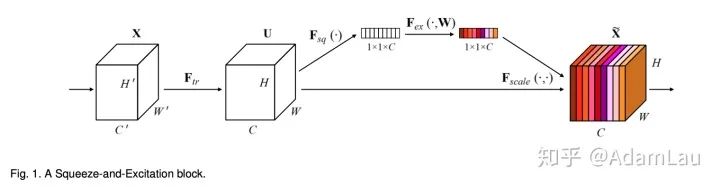 Understanding Attention Mechanisms in CV
