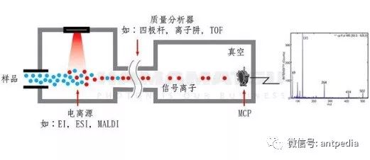 The Spring of Miniature Mass Spectrometers: Hamamatsu's Triode MCP Solves Low Vacuum Challenges