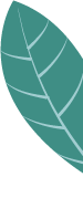 Understanding Self-Supervised Learning