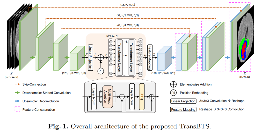 When Transformer Meets U-Net: A Review of Medical Image Segmentation