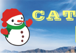 Overview of Common CAT Tools in China and Abroad