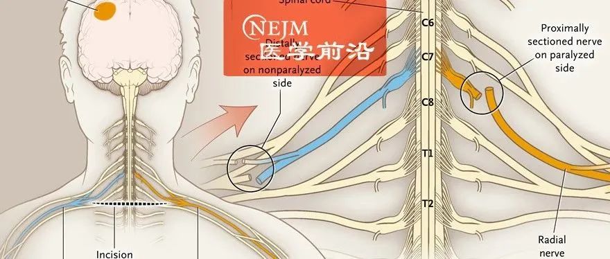 Professor Cai Jun Discusses the Story Behind STEP
