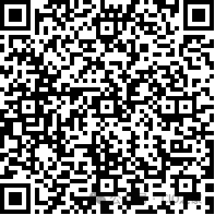 Experience in Developing AI Agent Applications
