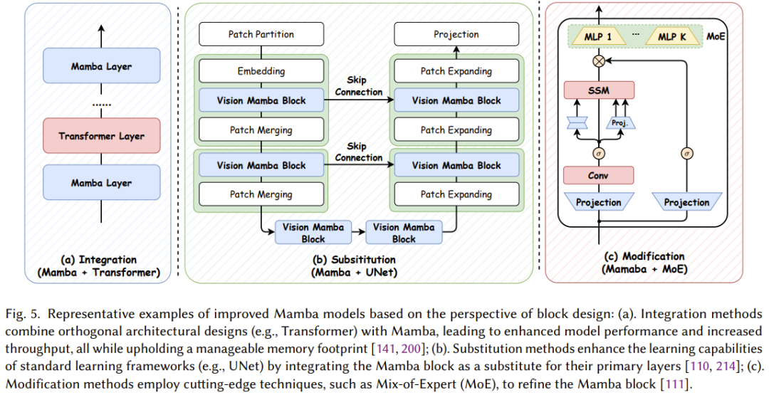 Understanding Mamba: The Strongest Competitor to Transformers