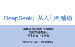 DeepSeek Comprehensive Guide from Beginner to Expert