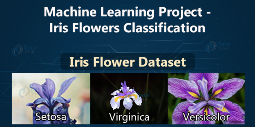 23 Best Beginner Projects for Machine Learning (With Source Code)