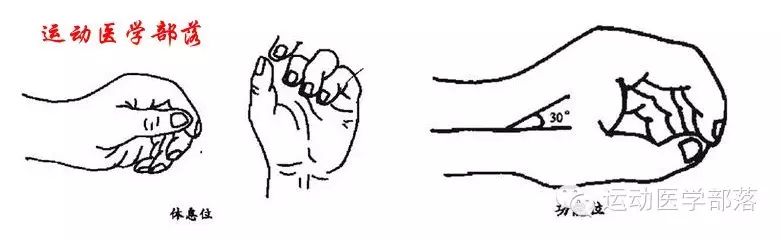 Kinesiology - Study Notes on Wrist and Hand Joints