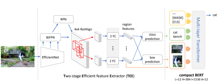 Fast and Effective Overview of Lightweight Transformers in Various Fields