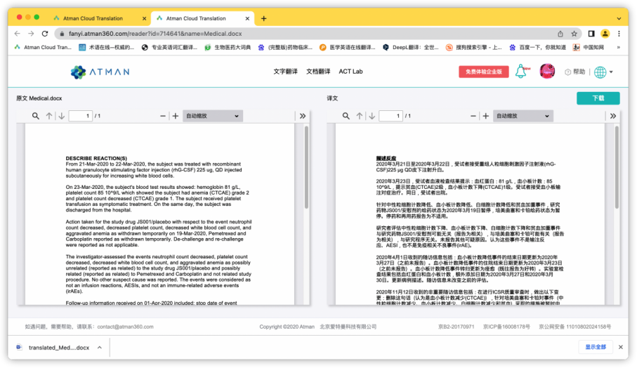 ATMAN: The Translation Tool Focused on the Pharmaceutical Field