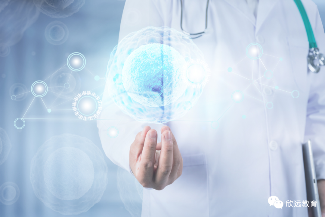 What Is Deep Learning and How to Effectively Implement It?
