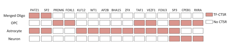 Novel Graph Neural Network Framework for Single-Cell RNA-Seq