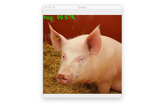 Implementing Adversarial Images and Attacks with Keras and TensorFlow