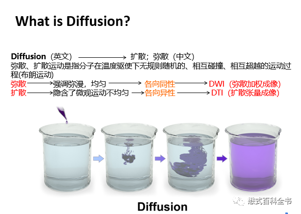 Discussion on the Translation of Diffusion Weighted Imaging (DWI)