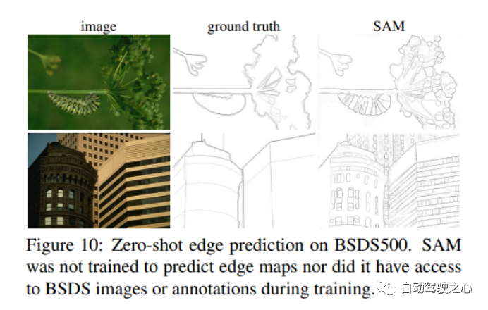 How Is Computer Vision Evolving? A Comprehensive Review of Segmentation Large Models (SAM/SegGPT/SEEM)