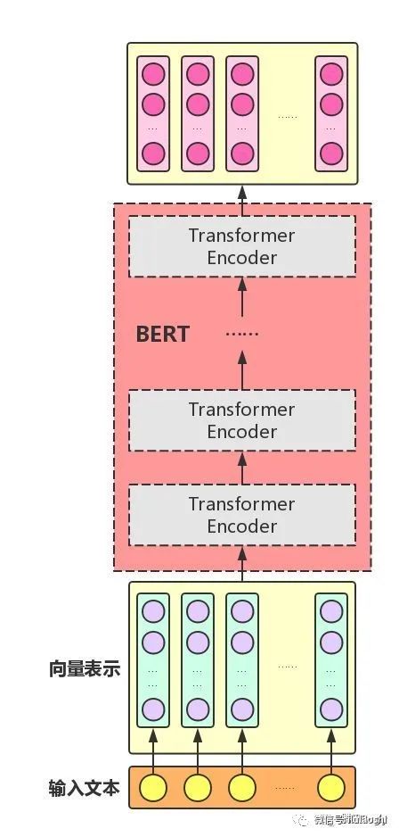 Understanding BERT and HuggingFace Transformers Fine-Tuning