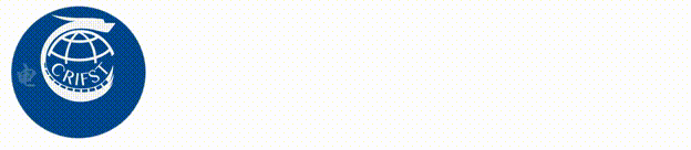 Development and Application of AI Video Generation Models