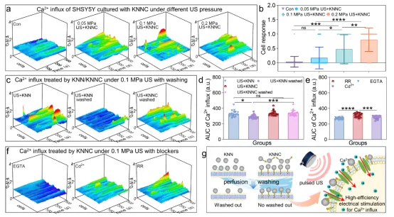 Cell-Anchored Lead-Free Piezoelectric KNN NPs for Neuromodulation