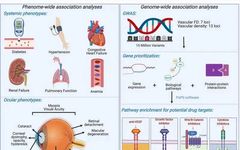 Deep Learning and Retina: Aiding Early Disease Diagnosis