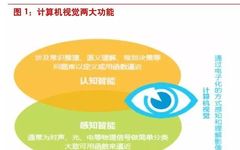 In-Depth Research Report on Computer Vision and Intelligent Imaging Industry