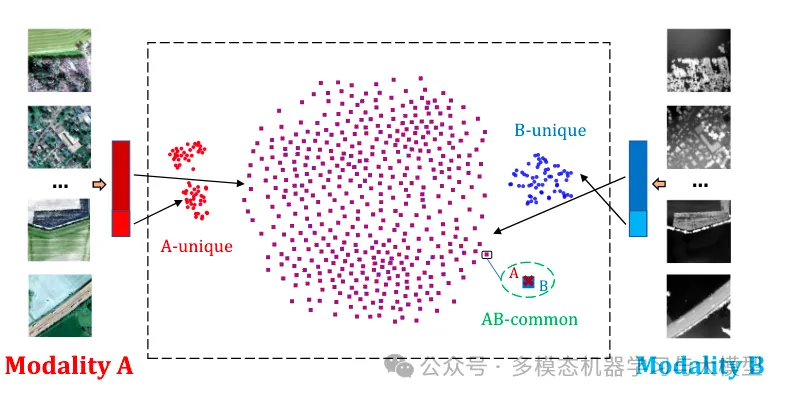 Unlocking Multimodal Self-Supervised Learning at ECCV 2024