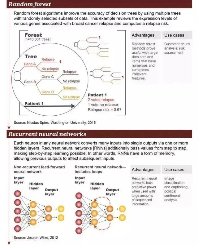 Understanding Machine Learning: Concepts, Schools, and Algorithms