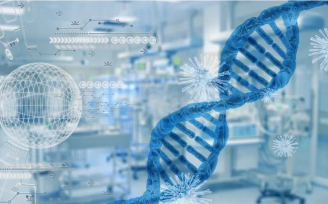 Novel Graph Neural Network Framework for Single-Cell RNA-Seq