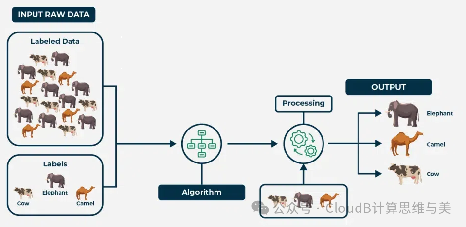 Machine Learning Process: Features, Models, Optimization, and Evaluation