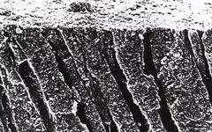 Understanding Self-Etching and Total Etching Techniques