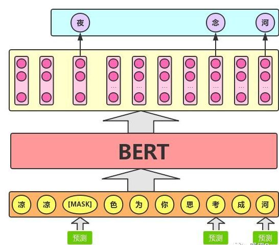 Understanding BERT: Interview Questions and Insights