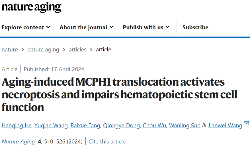 New Mechanism of DNA Damage-Induced Aging in Hematopoietic Stem Cells