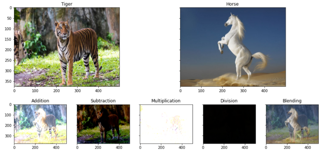 Introduction to Basic Tasks in Computer Vision