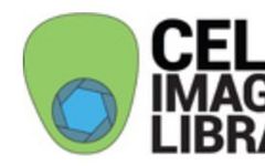 Recommended Machine Learning Datasets