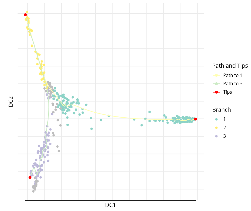Single-Cell RNA-Seq Analysis: Diffusion Pseudotime Reconstruction of Single-Cell Lineage Branching