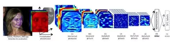 Essential Readings in Computer Vision: Tracking, Compression, Classification, and Recognition