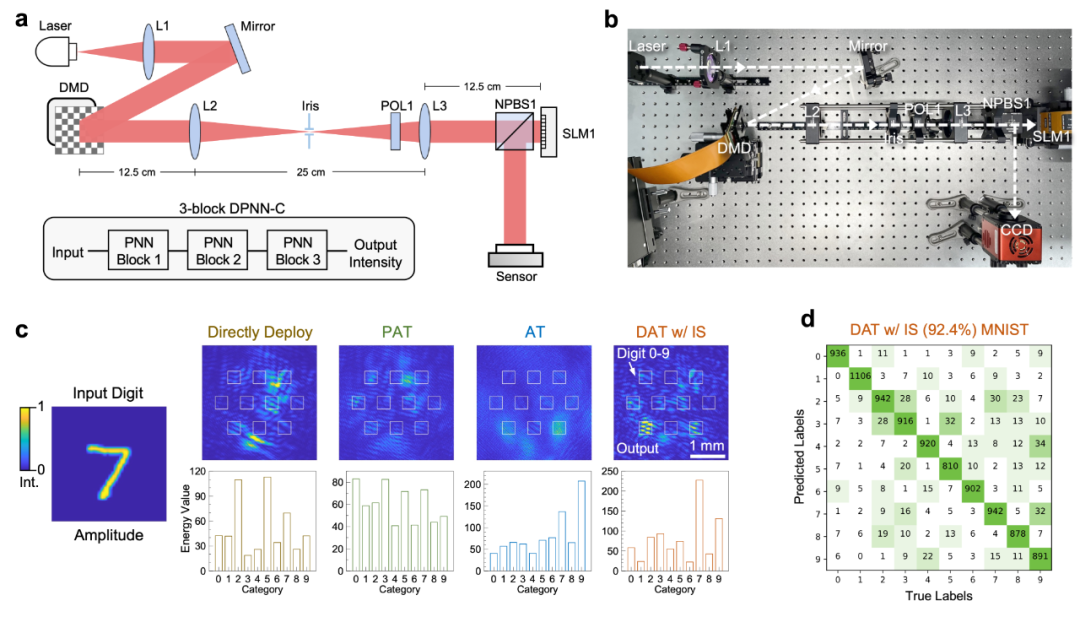 Training Large-Scale Photonic Neural Networks