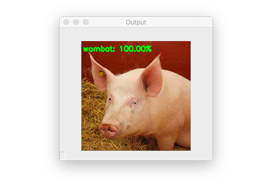 Implementing Adversarial Images and Attacks with Keras and TensorFlow