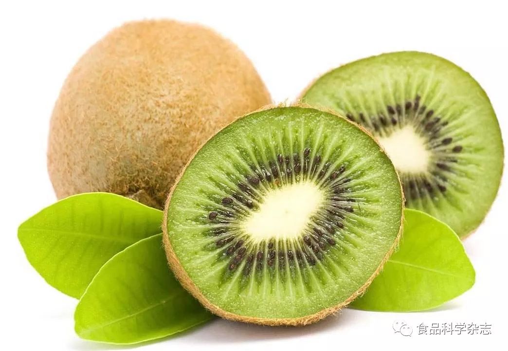 Post-Harvest Degradation Mechanism of Kiwi Chlorophyll and Effects of 1-MCP Treatment on Its Metabolism