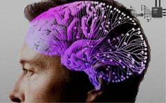 Is Mind Reading Real? How Brain-Machine Interfaces Propel Humanity Towards Transhumanism