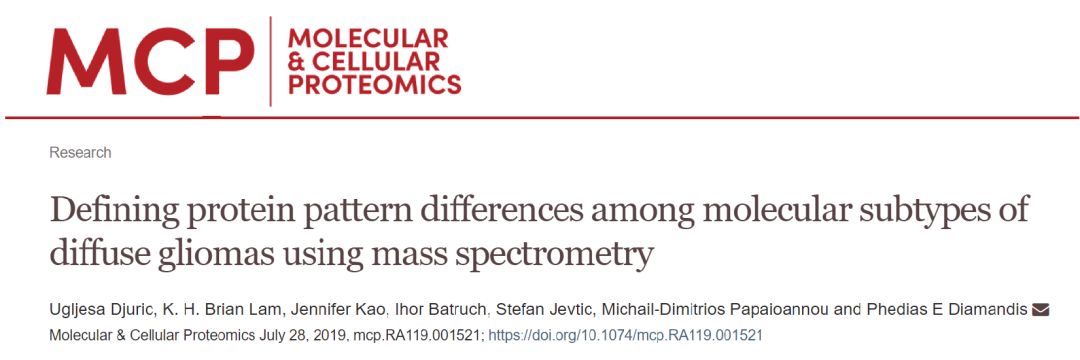 Latest MCP Insights: Molecular Subtyping of Diffuse Gliomas from Genes to Proteins