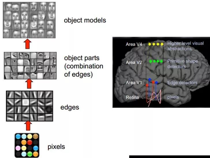 In-Depth Explanation of Deep Learning