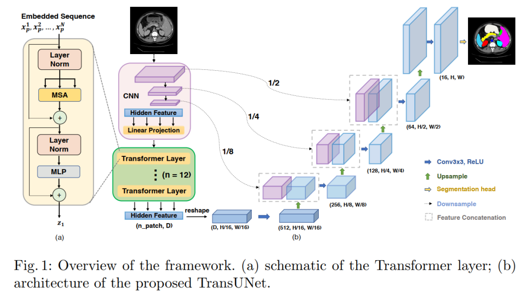 When Transformer Meets U-Net: A Review of Medical Image Segmentation