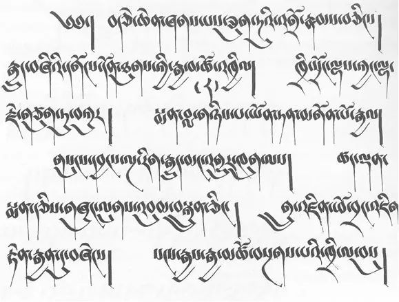 Language Families and Machine Translation Challenges