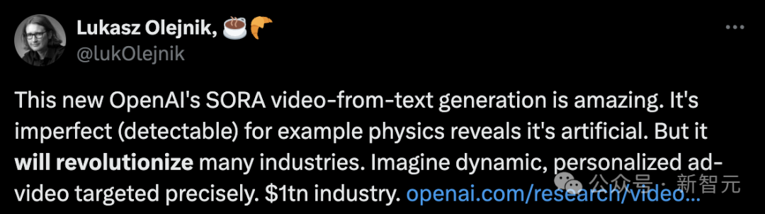 Exploring OpenAI's Sora Video Model: A Technical Report