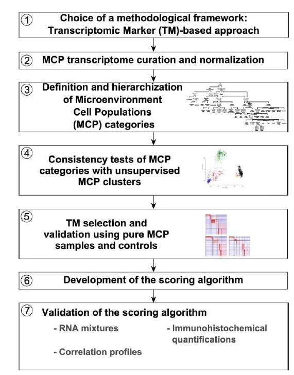 How to Use MCPcounter for Immune Infiltration Analysis