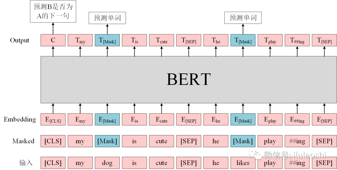 Understanding BERT and HuggingFace Transformers Fine-Tuning