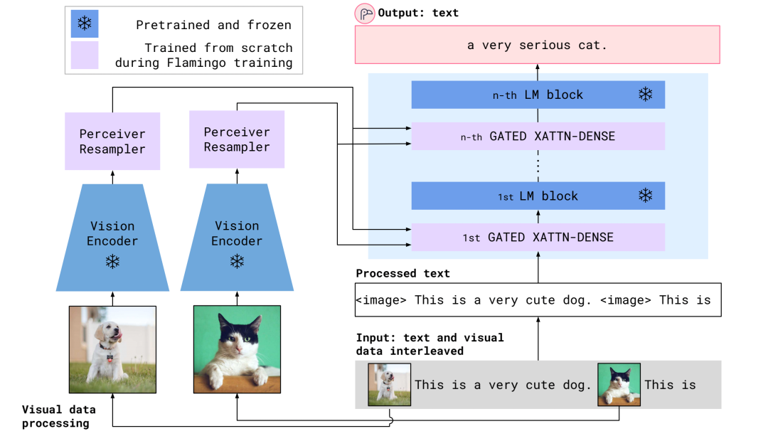 The Future of Multimodality: Standing on the Shoulders of NLP Giants