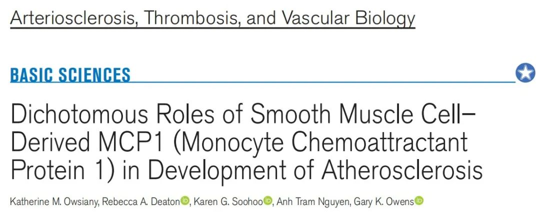 Dichotomous Roles of Smooth Muscle Cell-Derived MCP1 in Atherosclerosis Development